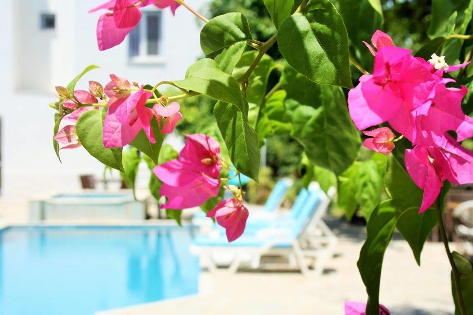Parla Apart Hotel Çeşme Dış mekan fotoğraf